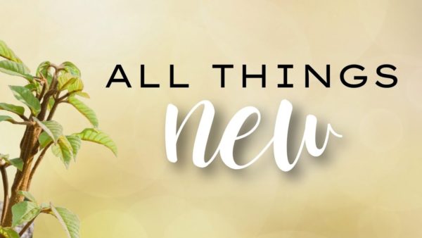 A New Mindset Image